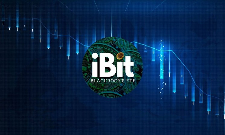  Биткоин-фонд BlackRock зафиксировал самый большой отток средств за 9 недель 