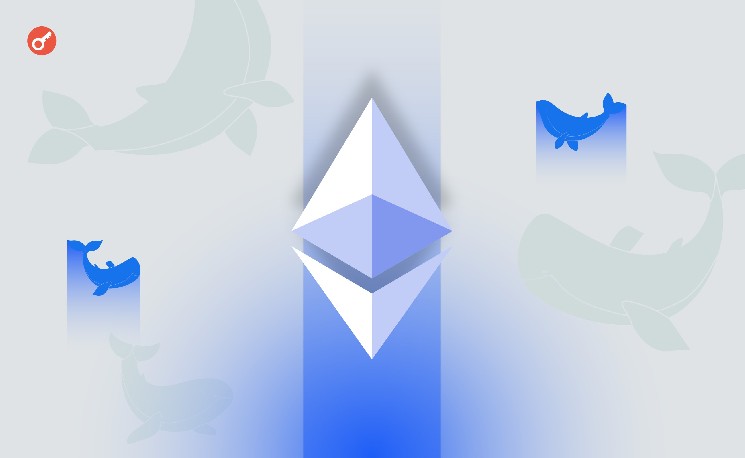 
			&laquo;Спящий&raquo; кит Ethereum активировался спустя почти 11 лет		